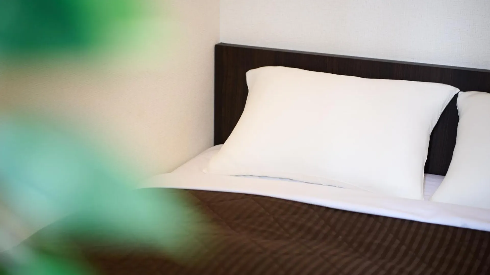 Hotel Sho Sapporo 4*,  Japan